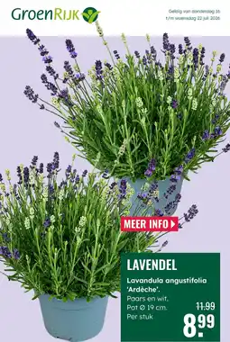 GroenRijk Lavendel aanbieding