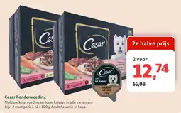 Maxi Zoo Cesar hondenvoeding aanbieding