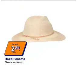 Action Hoed Panama aanbieding