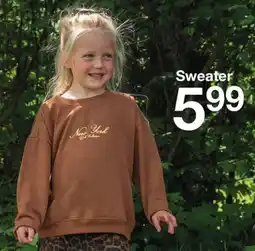 Zeeman Sweater aanbieding