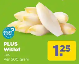 PLUS Plus witlof aanbieding