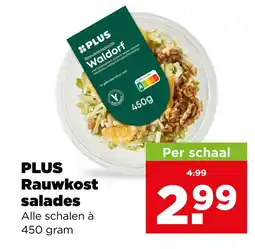 PLUS PLUS Rauwkost salades aanbieding