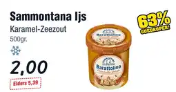Budget Food Sammontana Ijs Karamel-Zeezout aanbieding