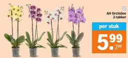 Albert Heijn AH Orchidee 2-takker aanbieding