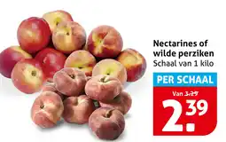 Hoogvliet Nectarines of wilde perziken aanbieding
