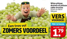 Hoogvliet Witte pitloze druiven of pitloze sable druiven aanbieding