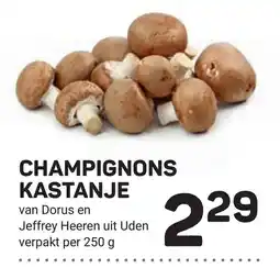 Ekoplaza champignons kastanje aanbieding