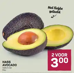 Ekoplaza hass avocado aanbieding