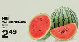 Ekoplaza mini watermeloen aanbieding