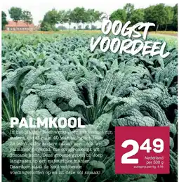 Ekoplaza palmkool aanbieding