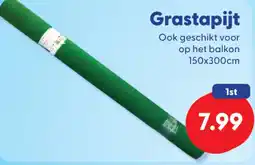 Die Grenze Grastapijt aanbieding