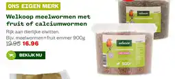 Welkoop Welkoop meelwormen met fruit of calciumwormen aanbieding