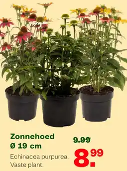 Welkoop Zonnehoed aanbieding
