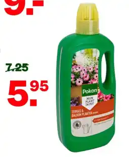 Welkoop Pokon terras & balkon planten aanbieding