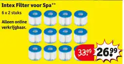 Kruidvat Intex Filter voor Spa aanbieding
