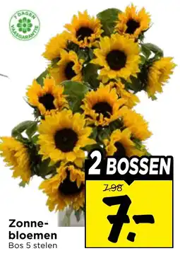 Vomar Voordeelmarkt Zonne-bloemen aanbieding