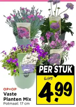 Vomar Voordeelmarkt Vaste Planten Mix aanbieding