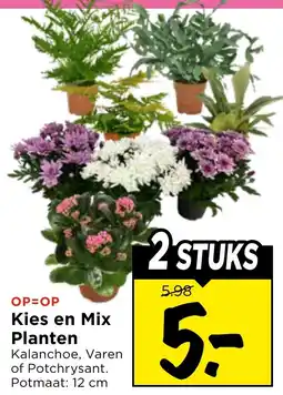 Vomar Voordeelmarkt Kies en Mix Planten aanbieding