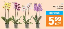 Albert Heijn YA AH Orchidee 2-takker aanbieding