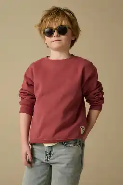 Wehkamp Sissy-Boy sweater met backprint roodbruin aanbieding