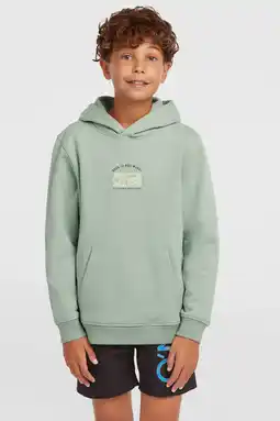 Wehkamp O'Neill hoodie met backprint lichtgroen aanbieding