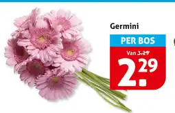 Hoogvliet Germini aanbieding