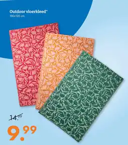 Blokker Outdoor vloerkleed* aanbieding