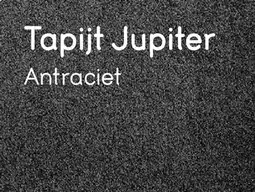 Leen Bakker Tapijt Jupiter aanbieding