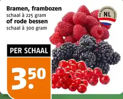 Poiesz Bramen, frambozen of rode bessen aanbieding