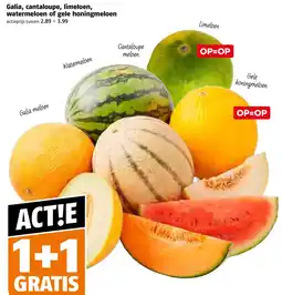 Poiesz Galia, cantaloupe, limeloen, watermeloen of gele honingmeloen aanbieding