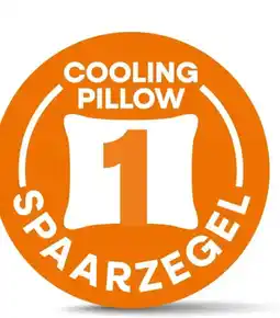 Poiesz Cooling Pillow aanbieding