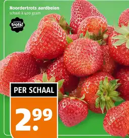 Poiesz Noordertrots aardbeien aanbieding
