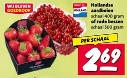 Nettorama Hollandse aardbeien of rode bessen aanbieding