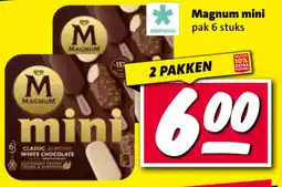 Nettorama Magnum mini aanbieding