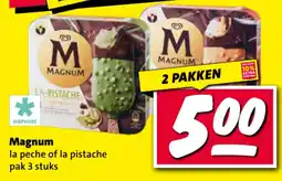Nettorama Magnum aanbieding
