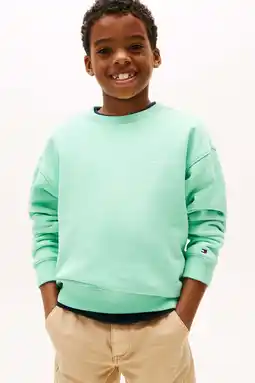 Wehkamp Tommy Hilfiger sweater lichtgroen aanbieding