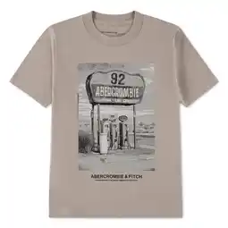Wehkamp Abercrombie & Fitch jersey T-shirt taupe aanbieding