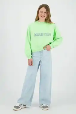Wehkamp Raizzed sweater lichtgroen aanbieding