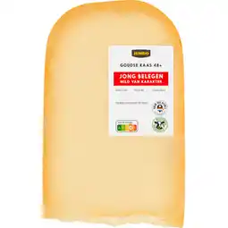 Jumbo Jumbo Goudse Kaas 48+ Jong Belegen Stuk ca. 600 g aanbieding