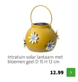 Intratuin Intratuin solar lantaarn aanbieding