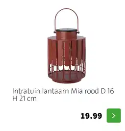 Intratuin Intratuin lantaarn Mia rood D 16 H 21 cm aanbieding