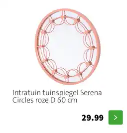 Intratuin Intratuin tuinspiegel Serena Circles roze D 60 cm aanbieding