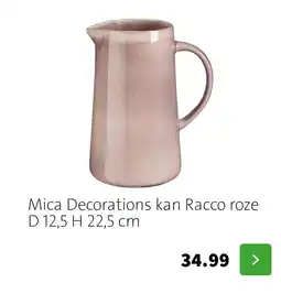 Intratuin Mica Decorations kan Racco aanbieding