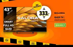Expert Salora 43QFG6500 aanbieding