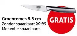 Hoogvliet Groentemes aanbieding