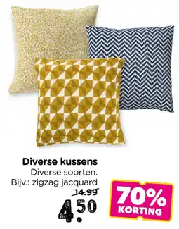 Xenos Diverse kussens aanbieding