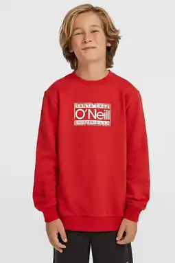 Wehkamp O'Neill sweater rood aanbieding