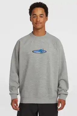 Wehkamp O'Neill sweater grijs aanbieding