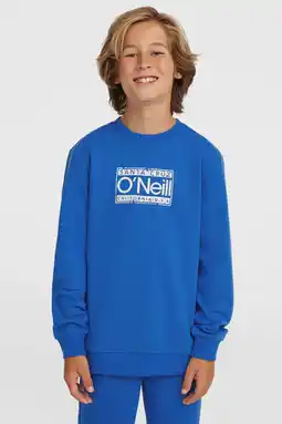 Wehkamp O'Neill sweater marineblauw aanbieding