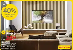 Praxis Quanti Akoestische Lattenwand aanbieding